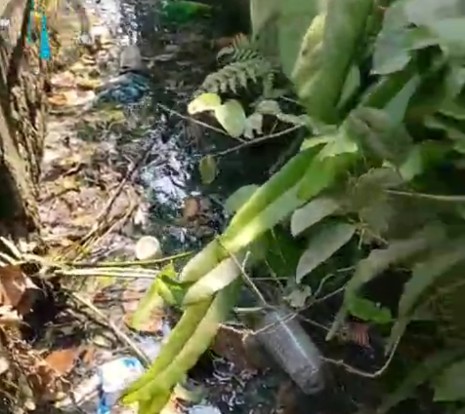 Limbah Hitam SPPG Tumenggungbaru Lamongan Bikin Warga Pusing! IPAL Ada Tapi Bau Masih Menyengat