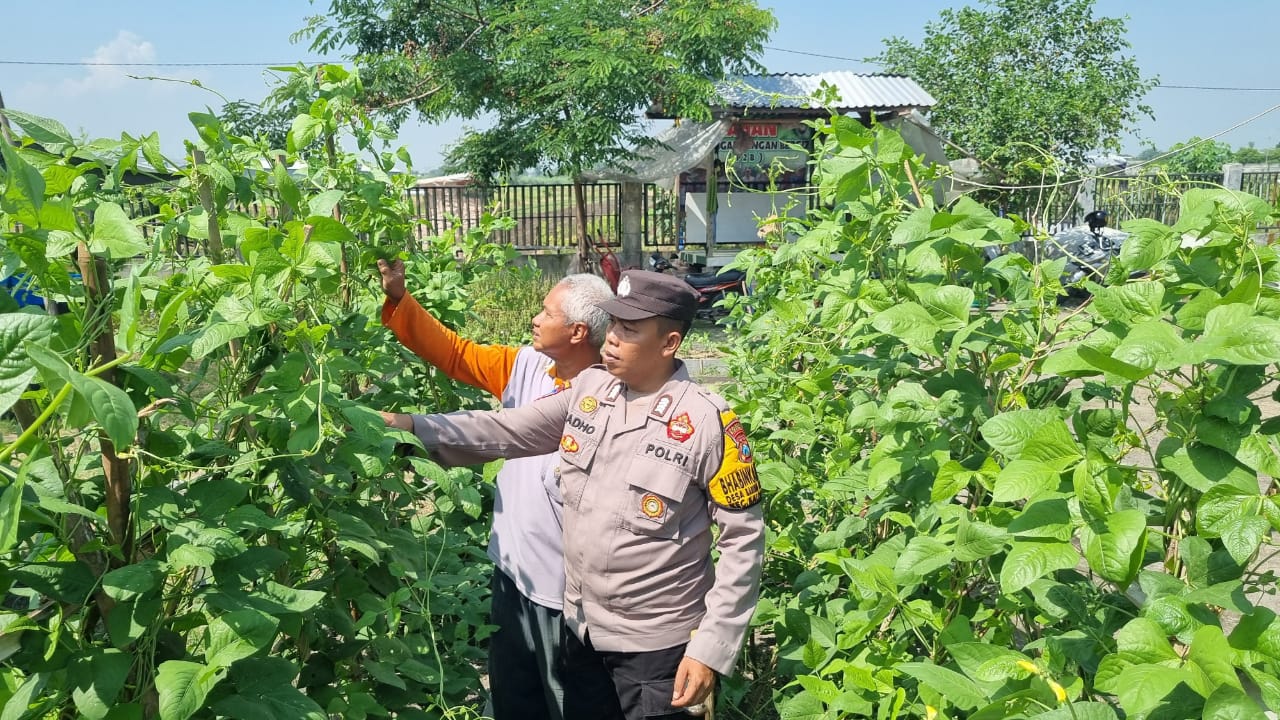 Polisi Balongbendo Beri Semangat Warga Kembangkan Tanaman Hortikultura