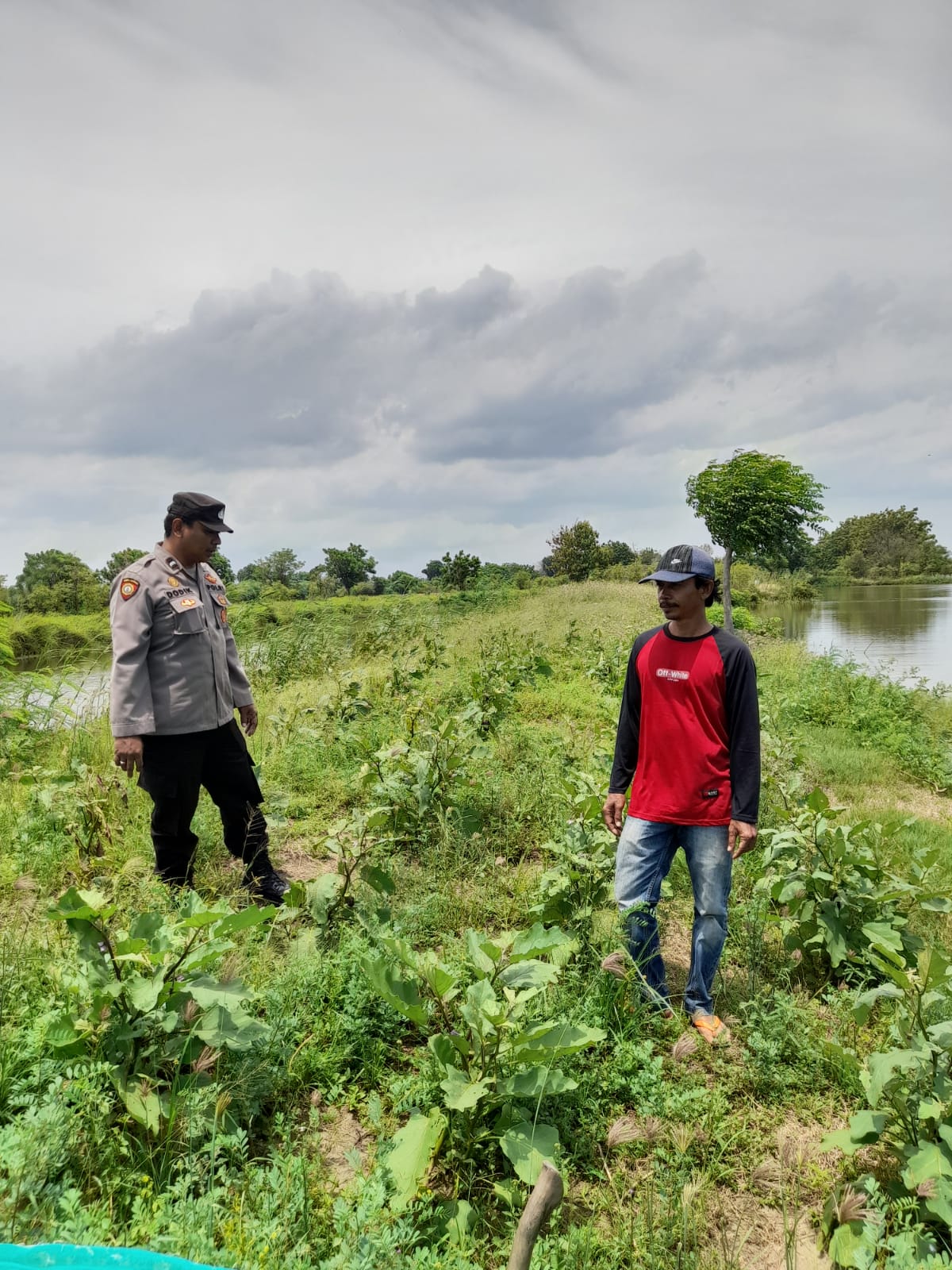 Bhabinkamtibmas Polsek Jabon Bersama Kelompok Tani Cek Lahan P2B, Dukung Ketahanan Pangan Nasional
