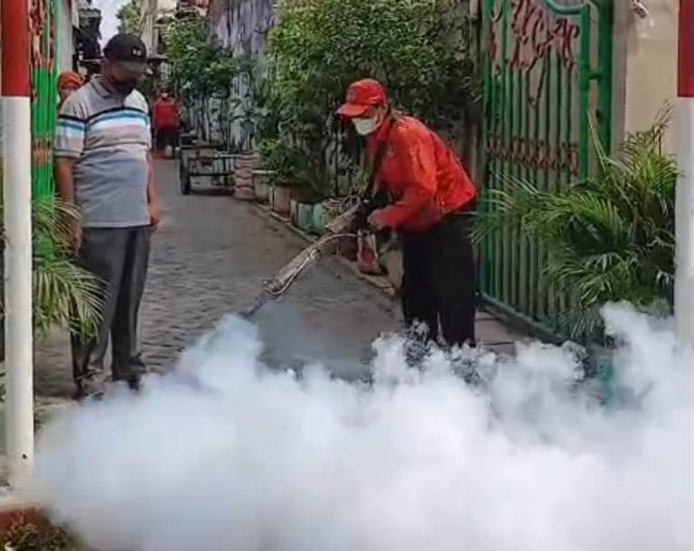 Tiga Bocah di Kupang Panjaan Terserang DBD, Warga Minta Fogging