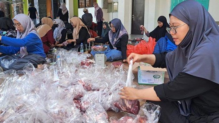 Wujud Kepedulian Sosial, SMP Islam Al Azhar Kelapa Gading Surabaya Kurban 8 Sapi dan 40 Kambing