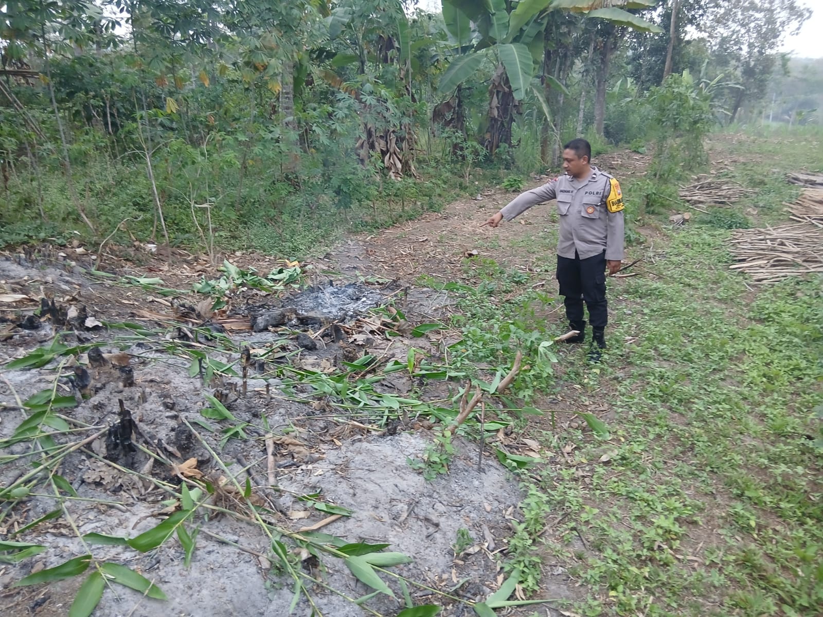 Cekcok di Ladang, Pria di Blitar Bacok Tetangga