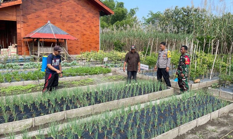 Tiga Pilar Desa Pojok Kompak Dukung Program P2B: Dorong Ketahanan Pangan Warga