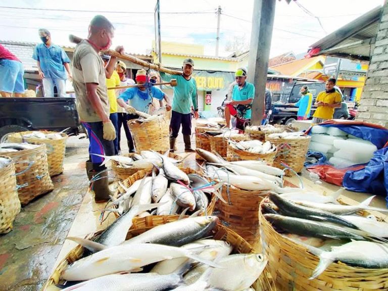 Harga Bandeng Merosot Tajam, Petani Tambak di Ujungpangkah Minta Ada Standarisasi Harga