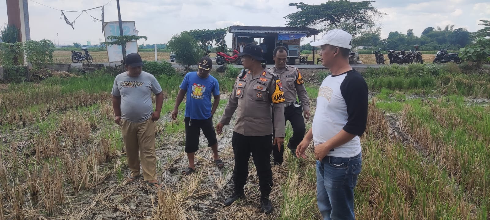 Polisi Tinjau Lahan Pertanian Guna Ketahanan Pangan