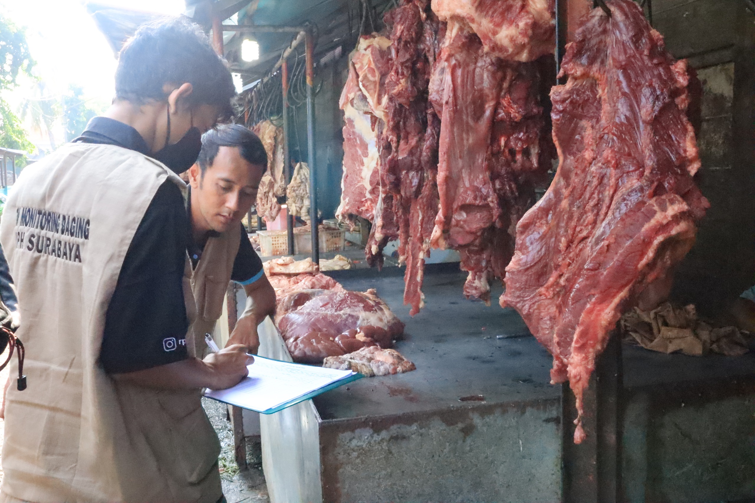 RPH Surya Siapkan 9 Ton Daging Sapi untuk Ramadan dan Idul Fitri