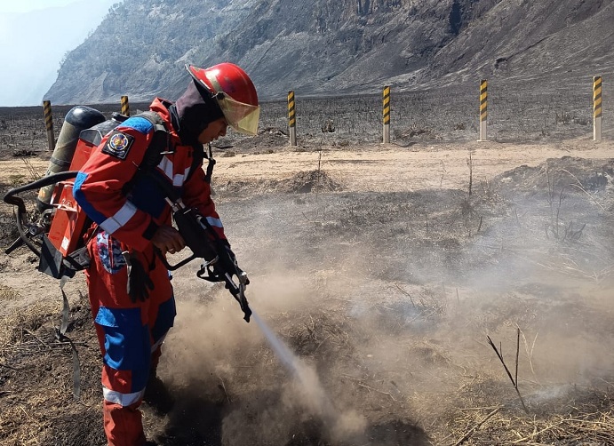 Personel Damkar Surabaya Diterjunkan Padamkan Karhutla di Bromo