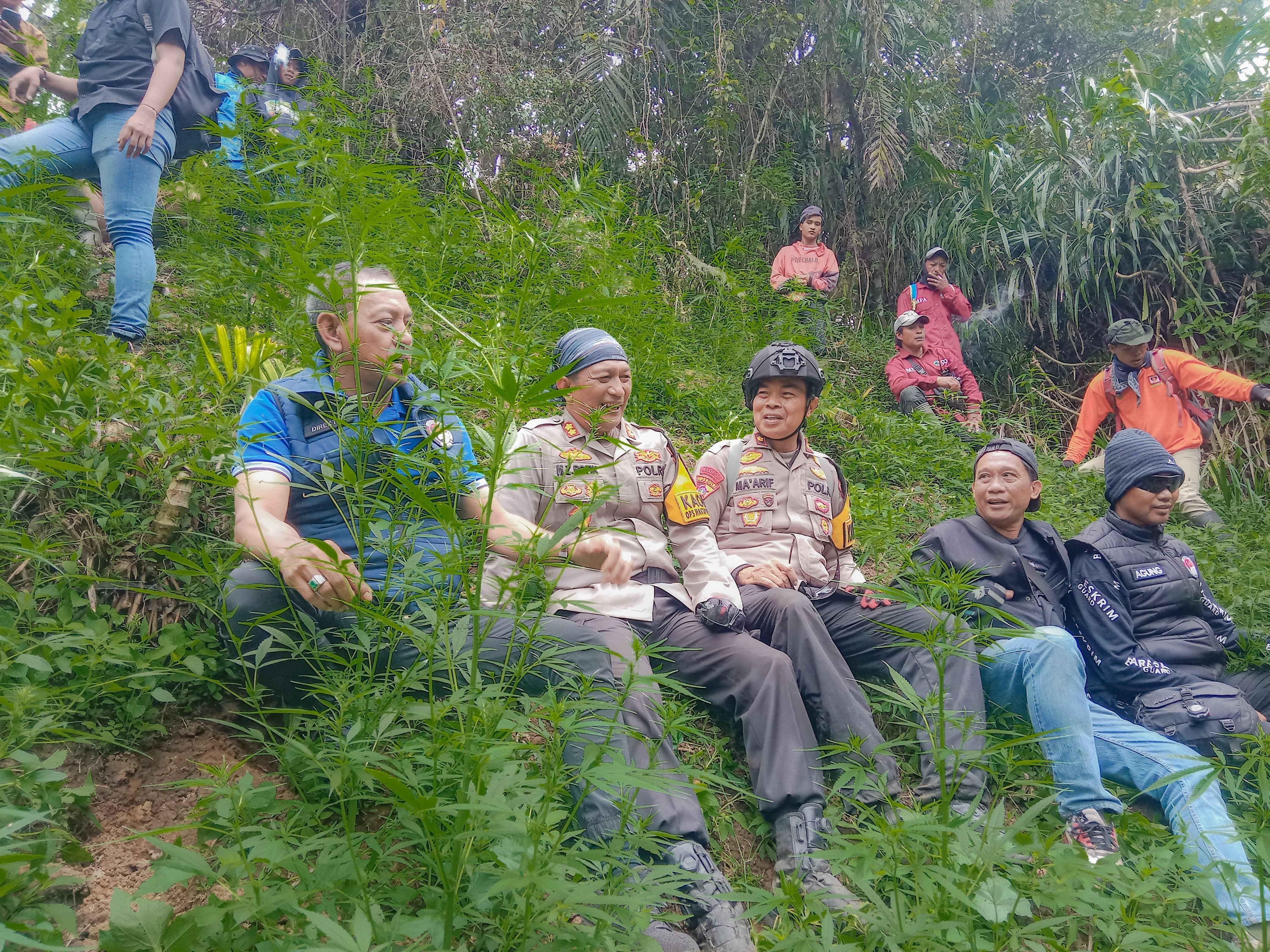 Empat Petani Ganja di Semeru Manfaatkan Warga Sekitar untuk Cari Lahan dan Bawa Bibit