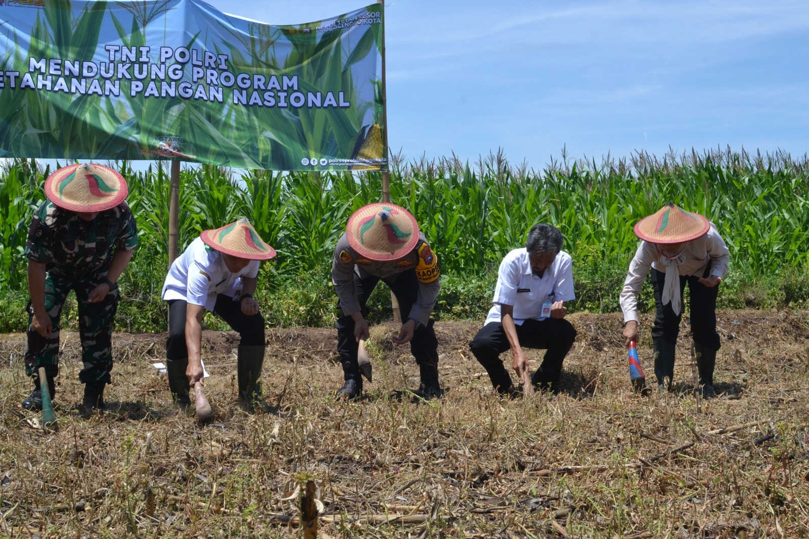 Tindaklanjuti Atensi Kapolri, Polres Probolinggo Kota Tanam 1000 Bibit Jagung Merah