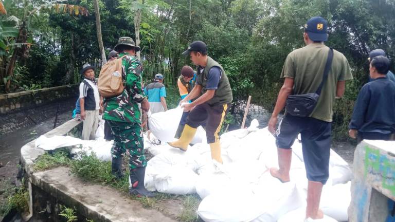Langkah Cepat Babinsa dan Warga Tutup Irigasi Jebol di Selokgondang Lumajuang