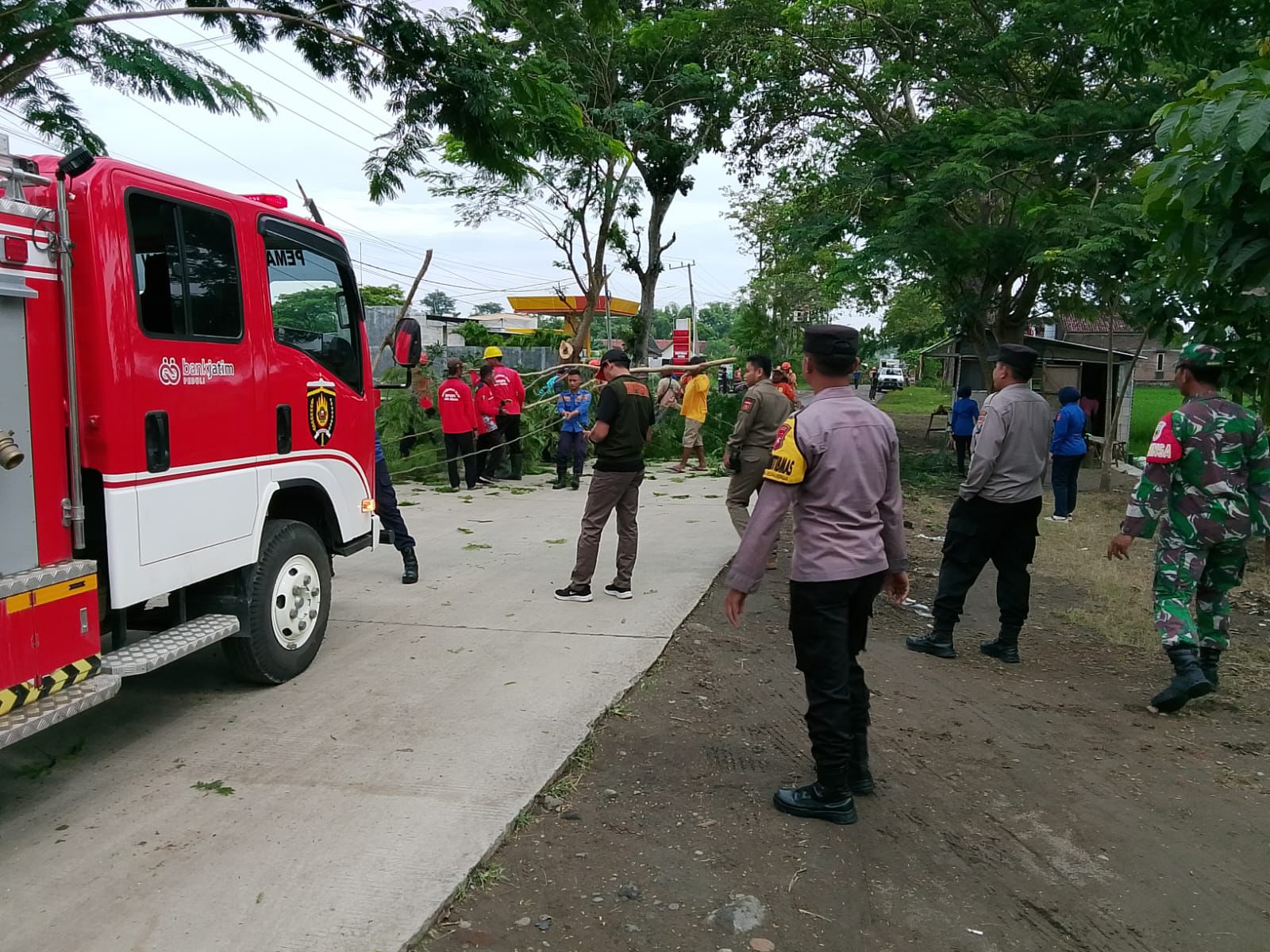 Polisi Ngawi Amankan Pemangkasan Pohon Rawan Bahaya di Kwadungan 