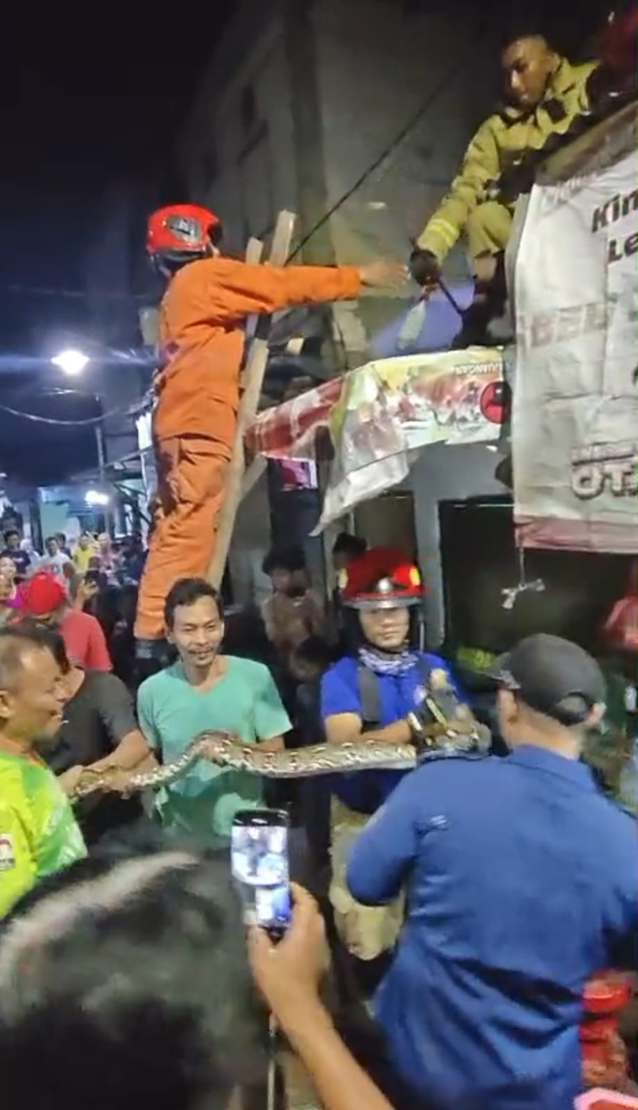 Gegerkan Warga Keputran Kejambon, Petugas DPKP Surabaya Amankan Piton Sepanjang 2,5 Meter dari Atap Rumah