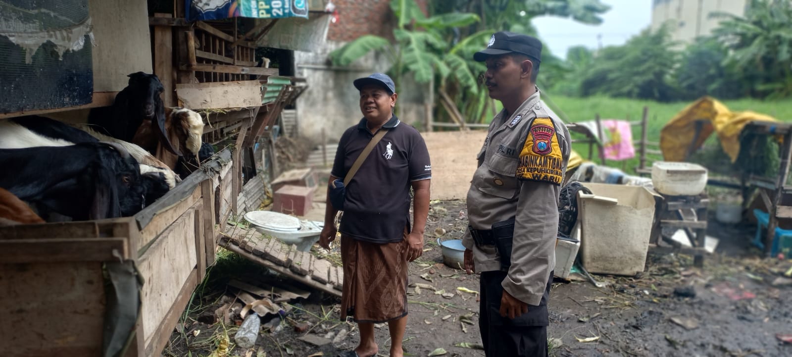 Bhabinkamtibmas Kureksari Tinjau Peternakan Kambing Warga, Dukung Program Ketahanan Pangan Nasional
