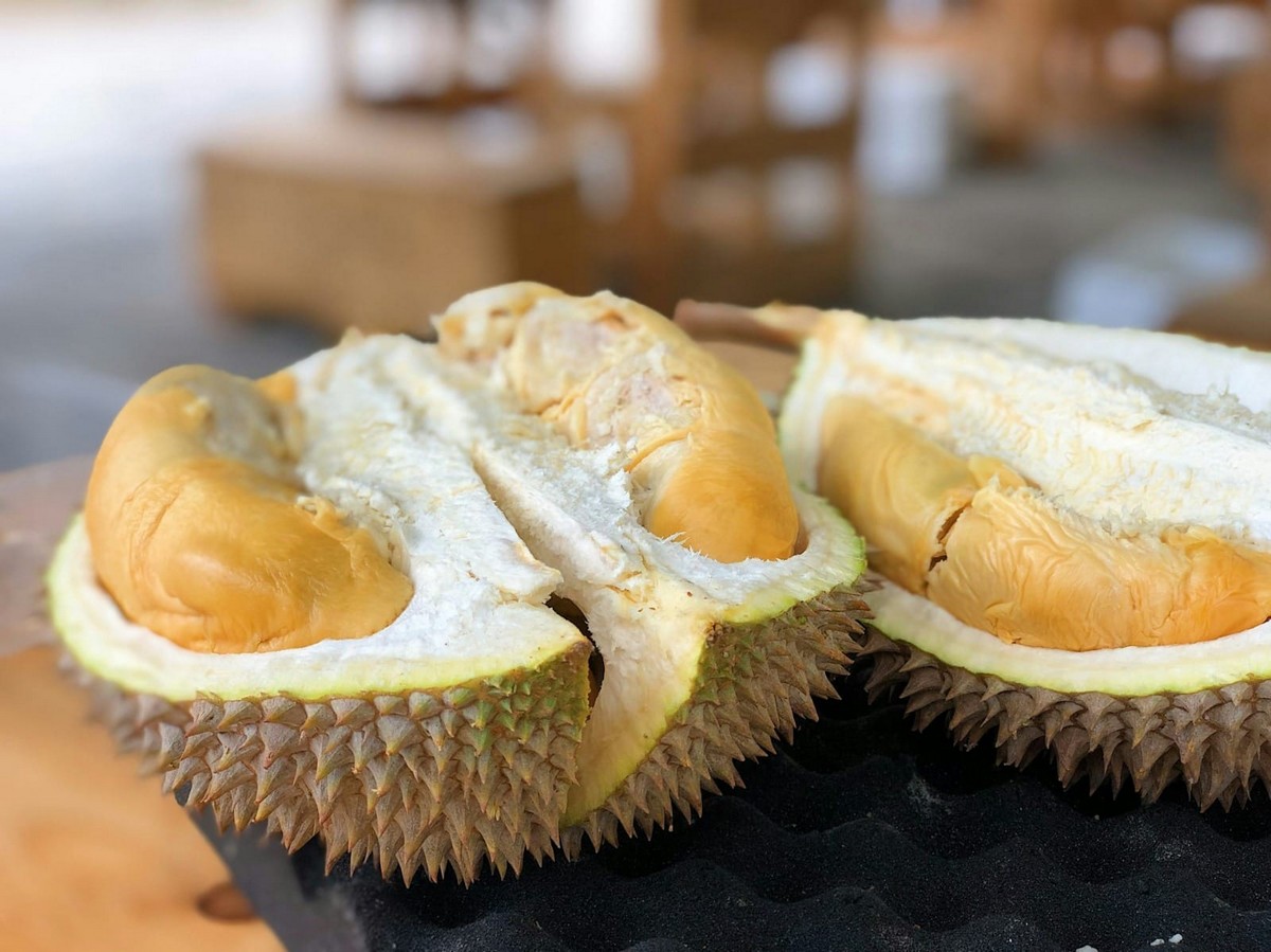 Manfaat Kesehatan Tersembunyi dalam Buah Durian