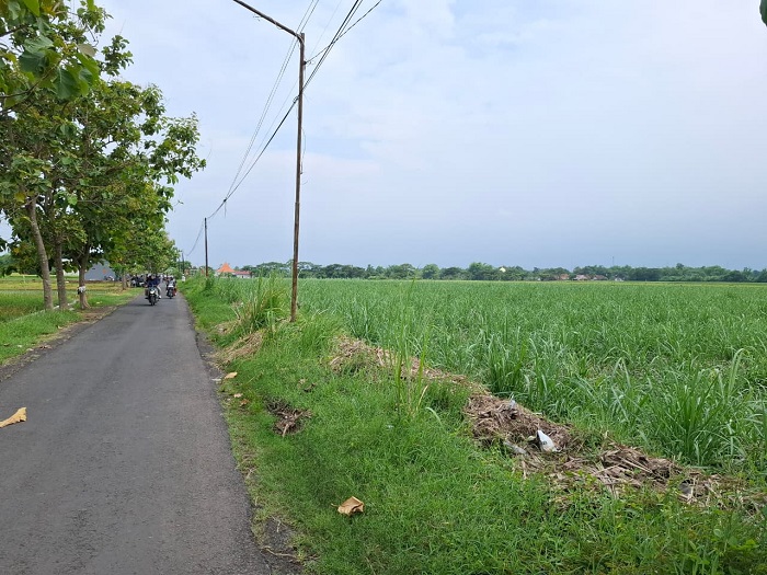 Pemkab Pasuruan Siapkan Lahan 5 Hektare untuk Pembangunan Sekolah Rakyat