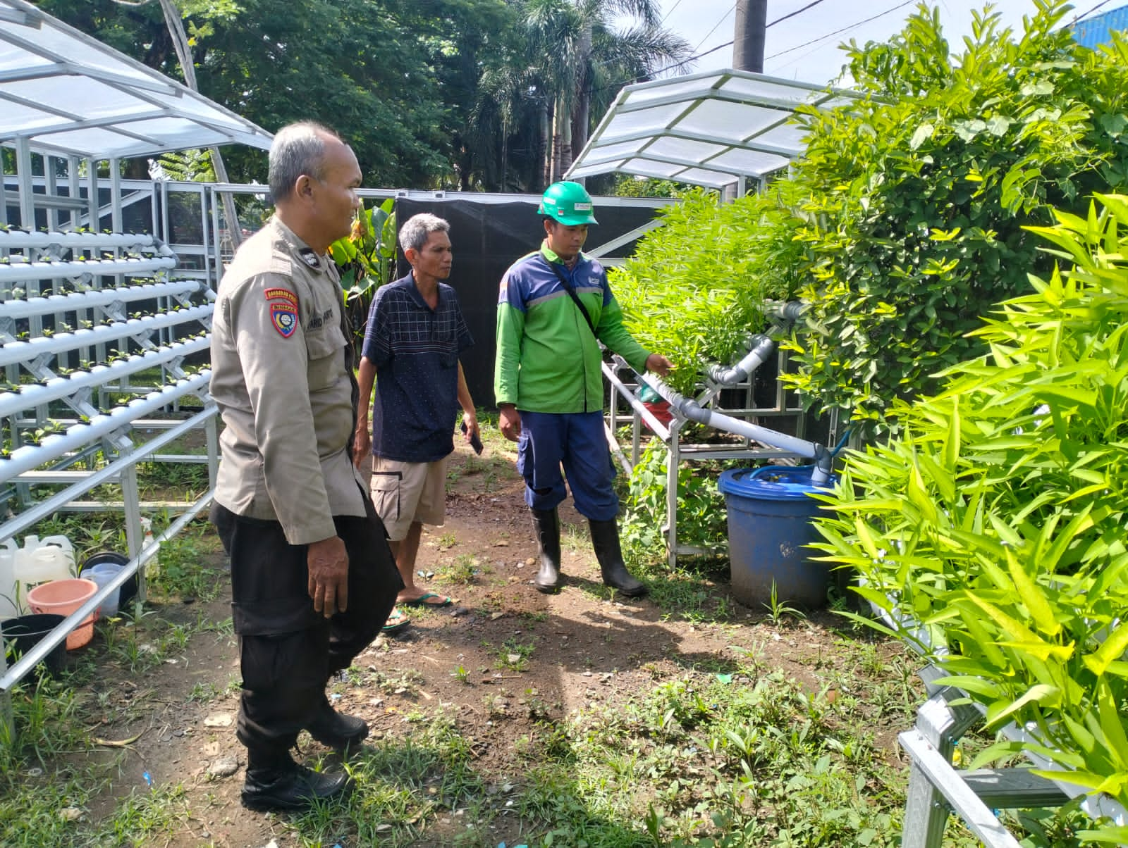 Polsek Pabean Cantikan Pantau Pertumbuhan Hidroponik, Ketahanan Pangan Makin Terjamin