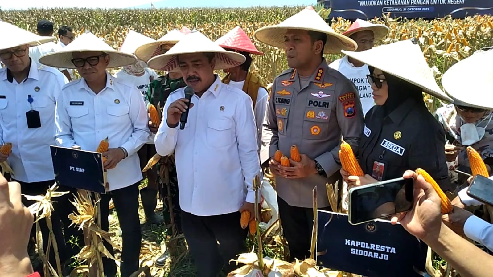 Kementerian Imipas Panen Raya Jagung di Bulang Prambon Sidoarjo, Wujudkan Ketahanan Pangan