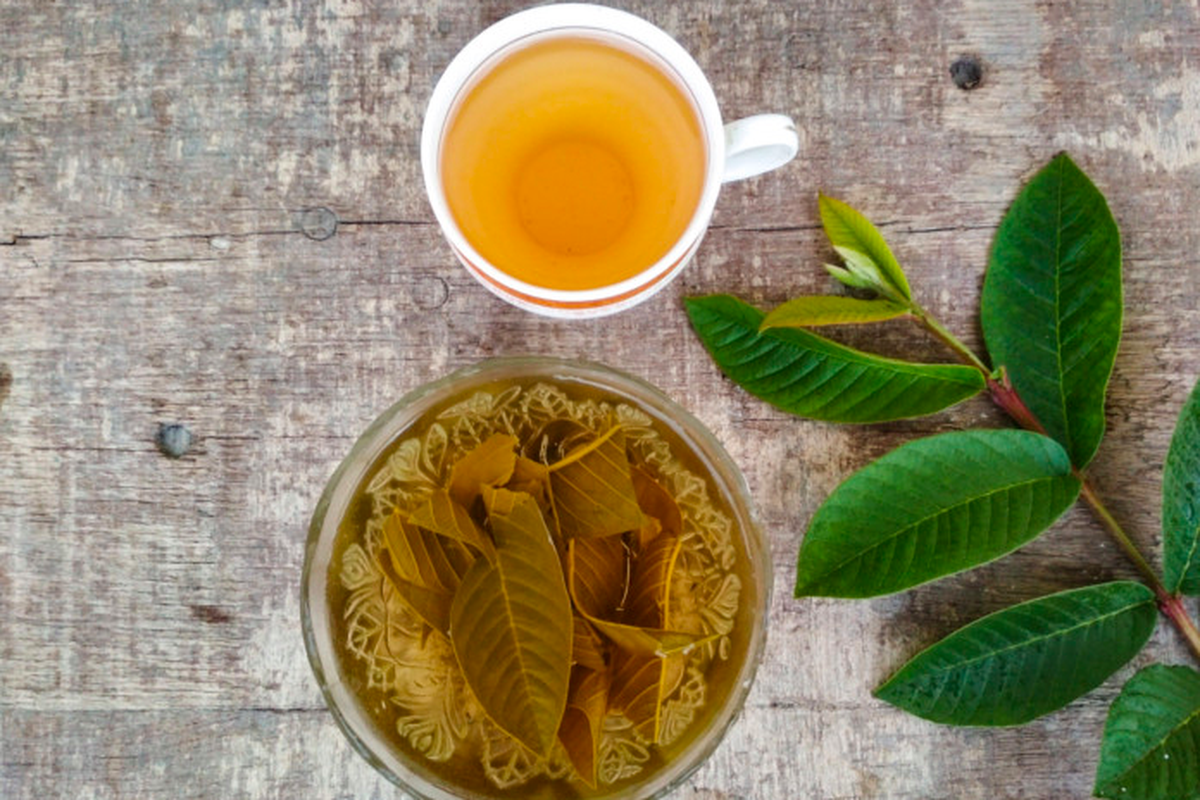 4 Khasiat Air Rebusan Daun Jambu untuk Kesehatan Tubuh