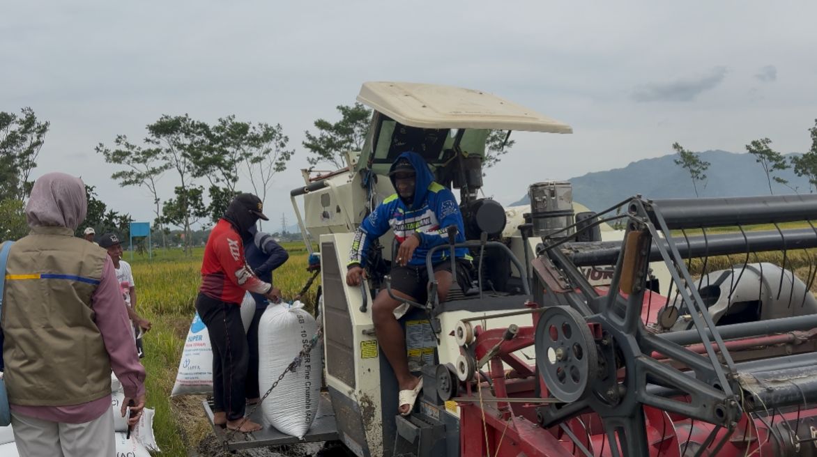 Bulog Gerak Cepat di Awal Tahun, Serap Hampir 20 Ton Gabah Petani Tulungagung