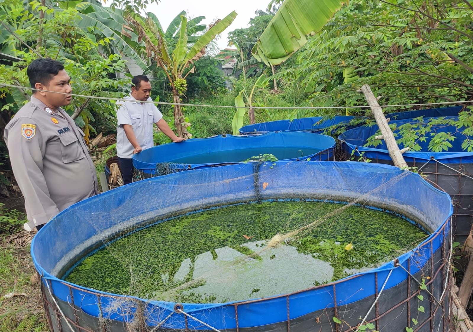 Apresiasi Kemandirian Warga, Bhabinkamtibmas Dampingi Ketahanan Pangan Budi Daya Ikan Lele Sidodadi Candi