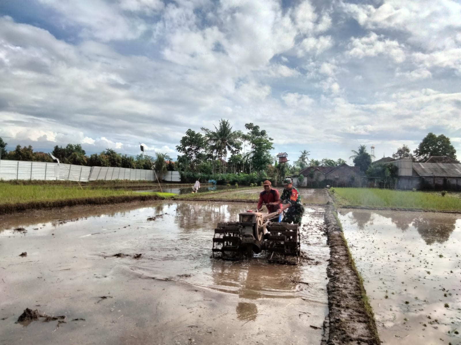 Dorong Swasembada Pangan, Babinsa Tanggung Bantu Petani Olah Lahan