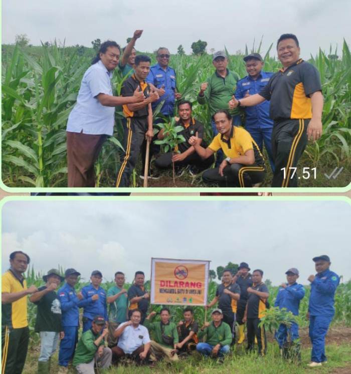 Cegah Penambangan Batu Ilegal, Polsek Temayang dan Gapoktan Tanam 150 Pohon Alpukat