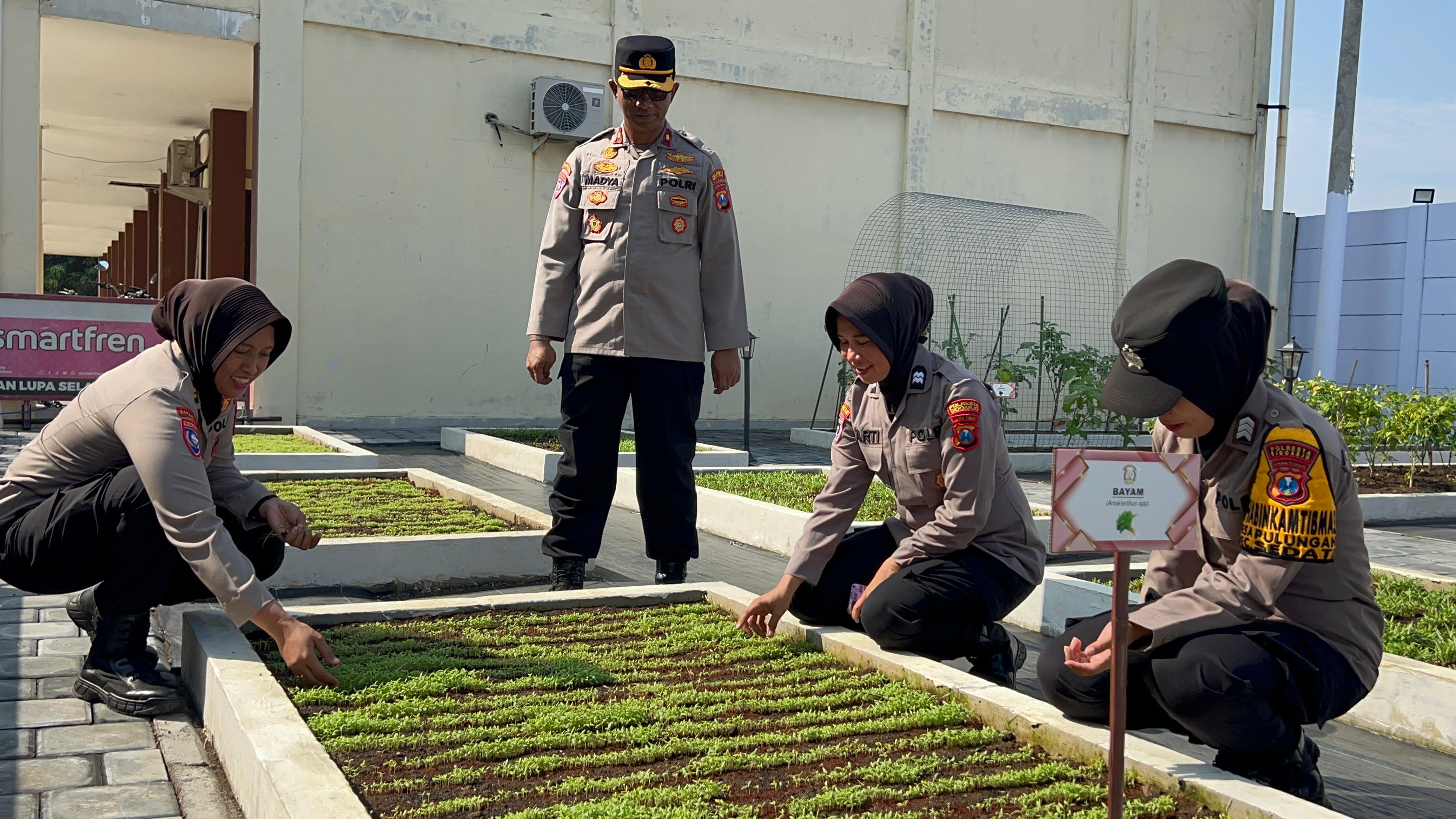 Satbinmas Polresta Sidoarjo Beri Motivasi Bhabinkamtibmas Kelola Lahan Ketahanan Pangan