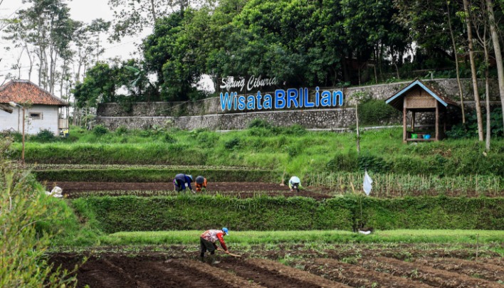 Jangkau 5.245 Desa BRILiaN, BRI Perluas Dukungan Pengembangan Ekonomi Desa