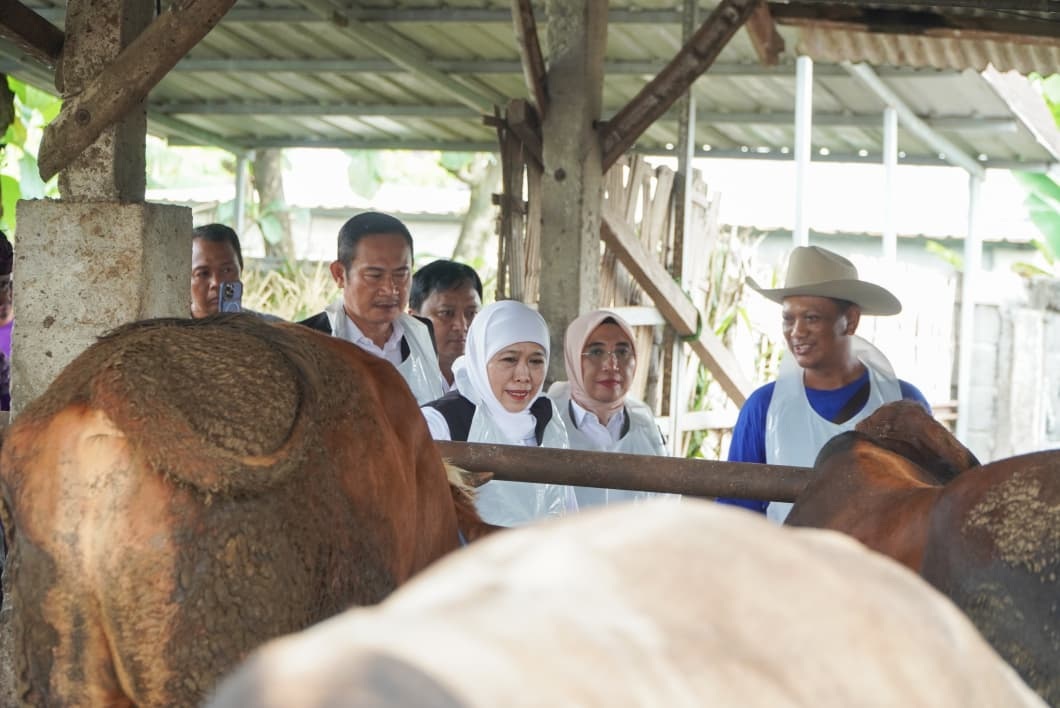 Warga Curhat Jalan Rusak ke Khofifah Saat Tinjau Koperasi Hewan di Lamongan