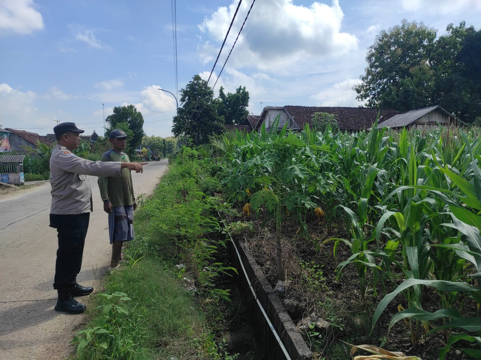 Bhabinkamtibmas Polsek Bubulan Cek Lokasi Pemanfaatan Pekarangan Bergizi