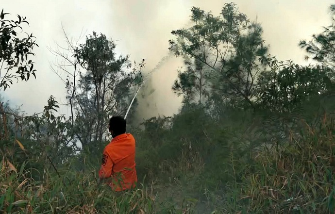  Karhutla Kembali Melanda TNBTS Tosari Pasuruan, Api Merembet ke Bukit Kingkong