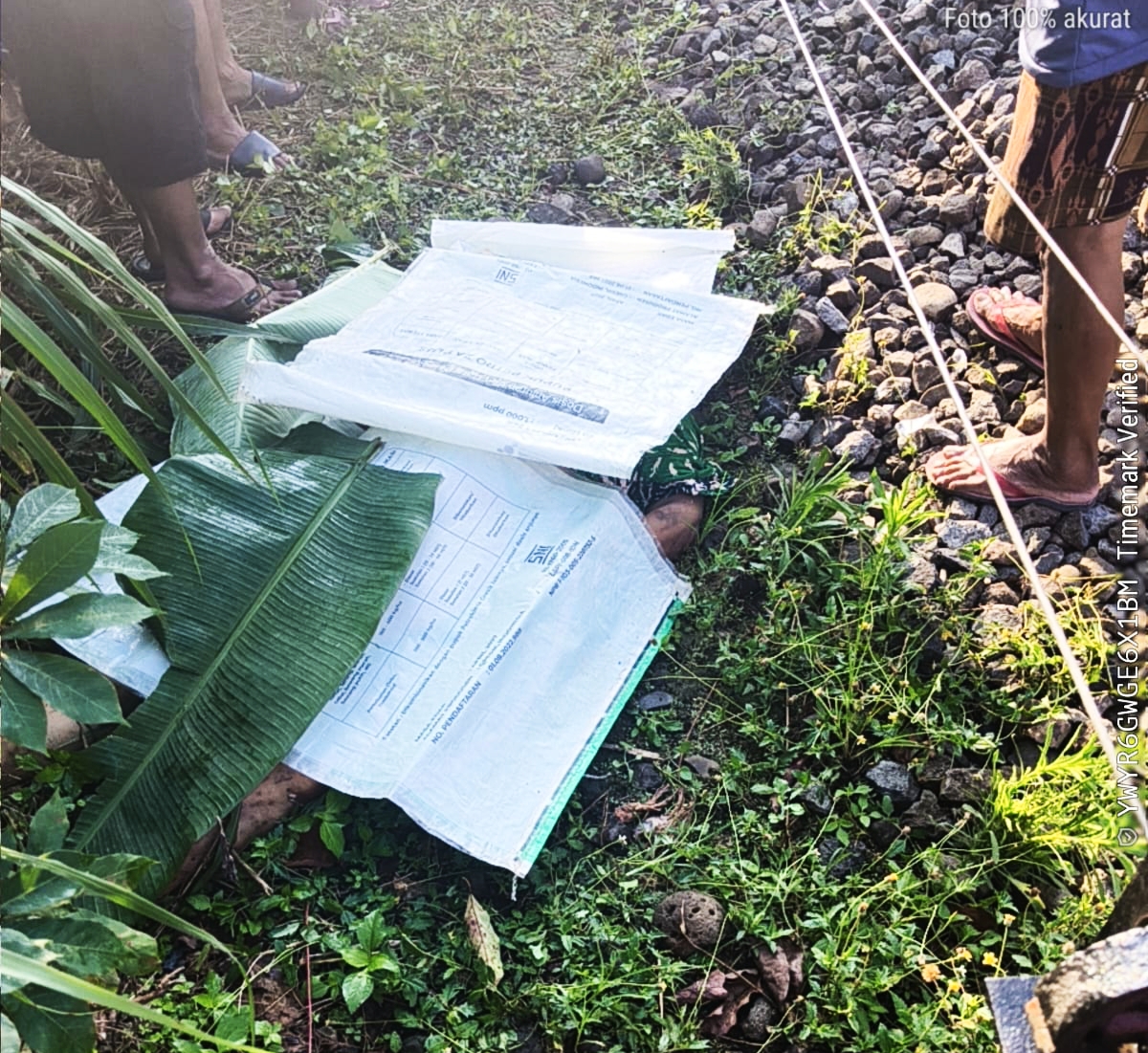 Nestapa di KM 157 Jember: Tak Dengar Teriakan Warga, Nyawa Nenek Melayang