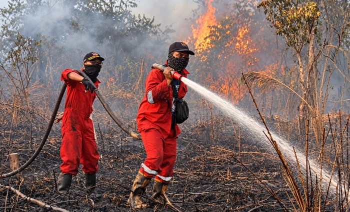 Karhutla Mengancam Lingkungan dan Kesehatan, Pencegahan Jadi Kunci