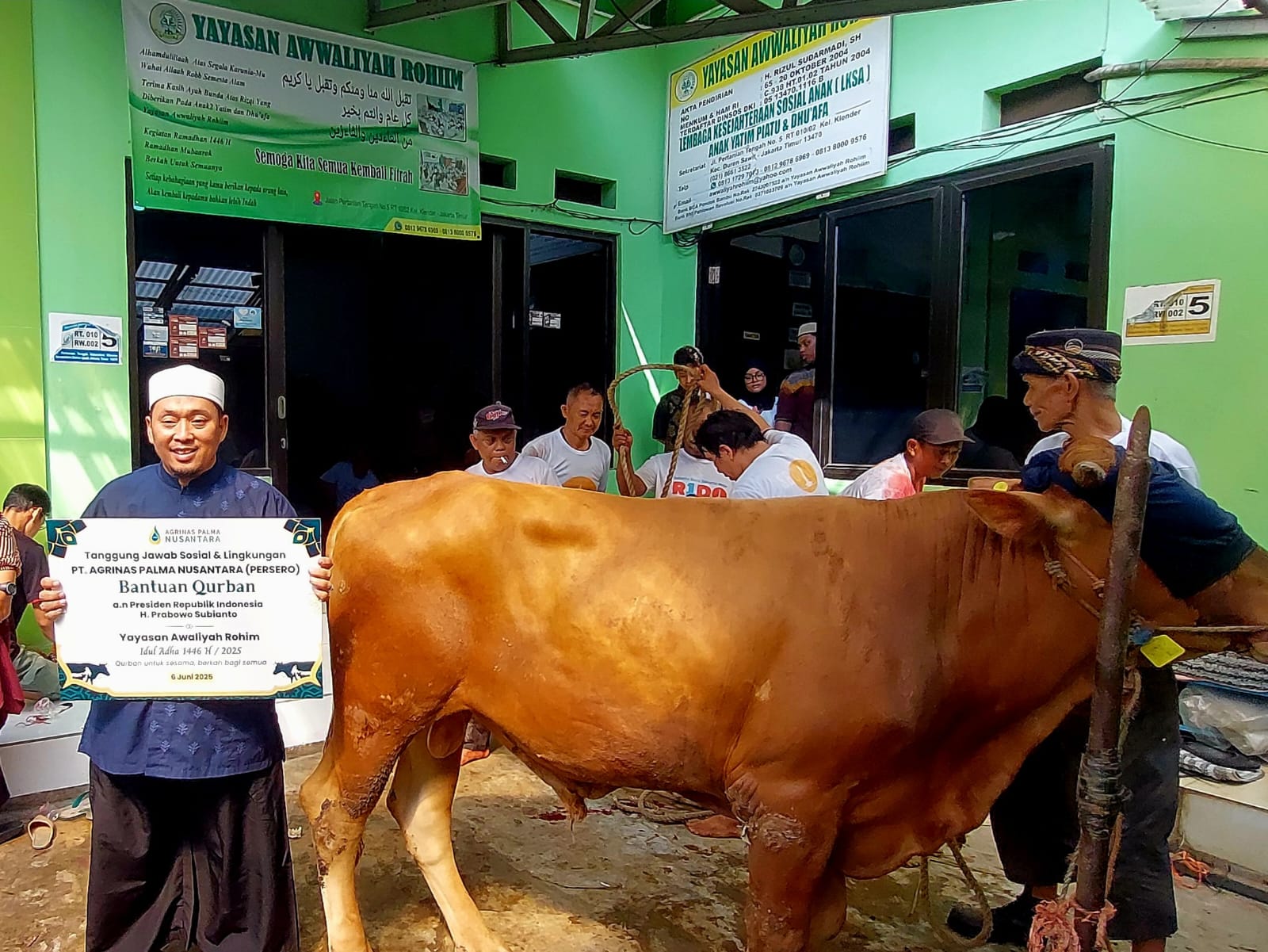 PT Agrinas Palma Nusantara (Persero) Salurkan Hewan Kurban di 37 Titik