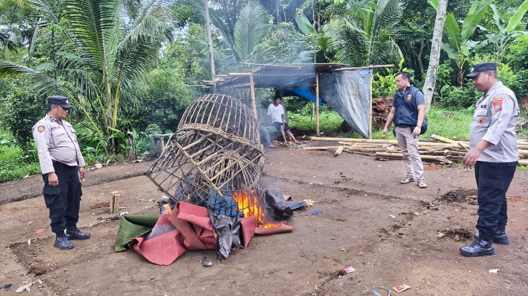Polisi Musnahkan Arena Sabung Ayam di Dampit Malang