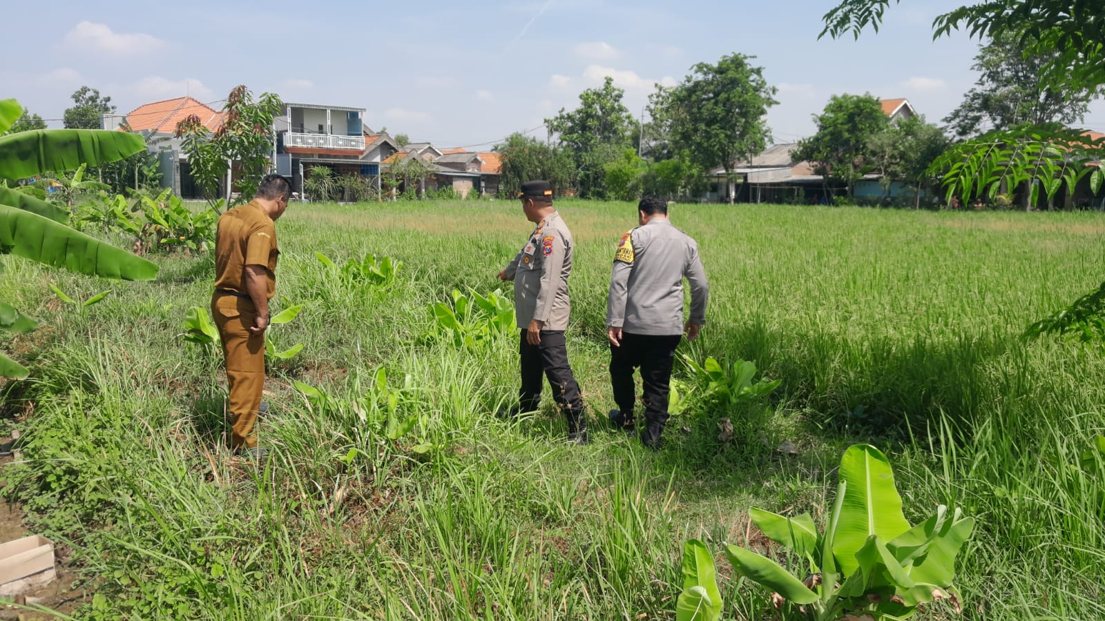 Kapolsek Sukodono Turun ke Lahan Bumdes Bangsri, Dukung Ketahanan Pangan