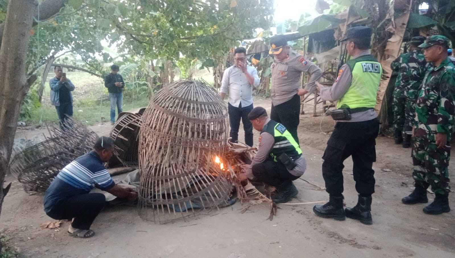 Judi Sabung Ayam Ngoro Digerebek, Petaruh Kabur Polisi Bakar Alat Judi 