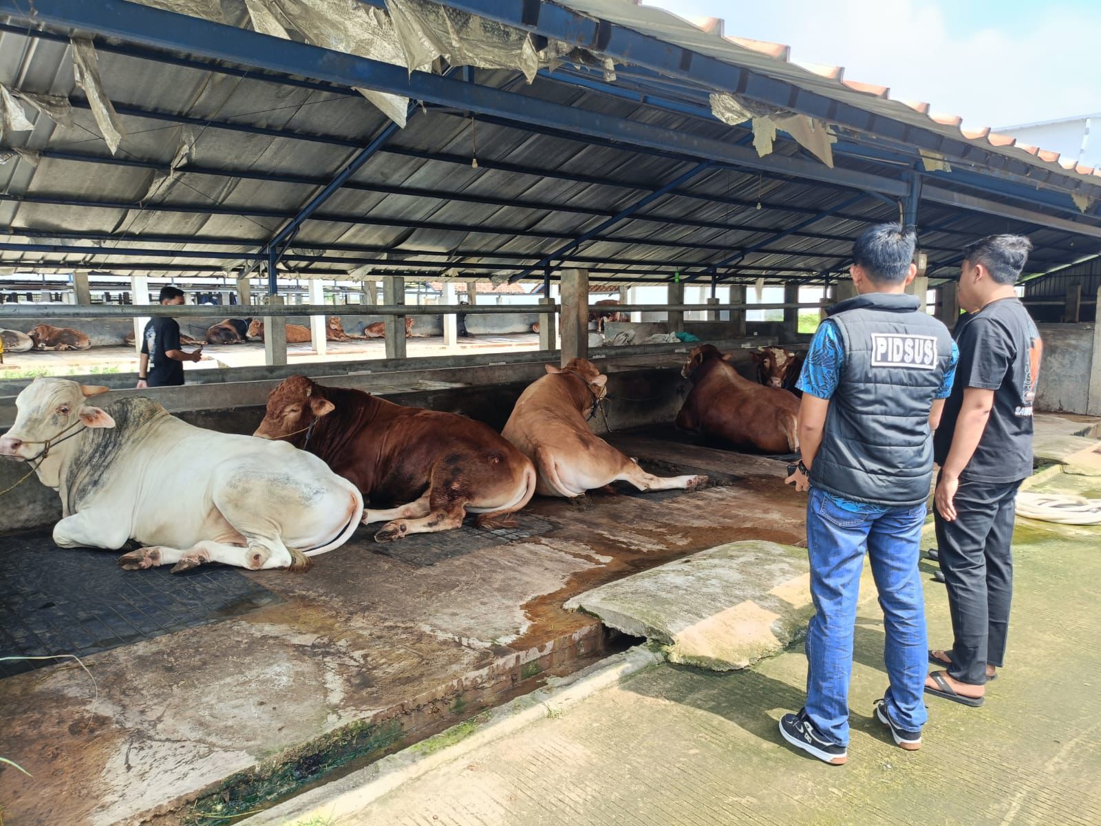 Jelang Iduladha 2026, Polres Ngawi Pastikan Hewan Kurban Sehat dan Layak