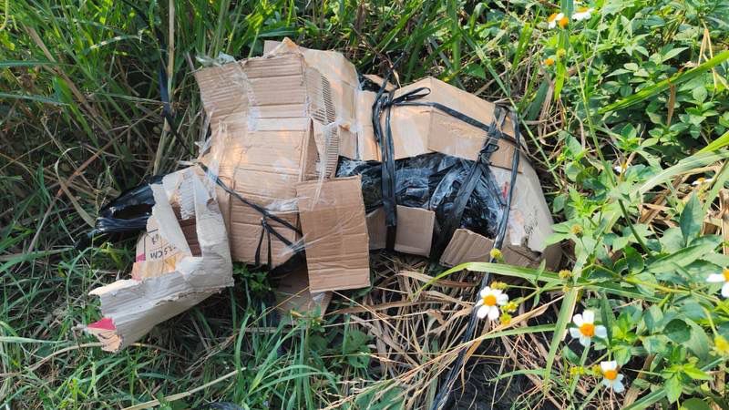 Masih Utuh, Mayat dalam Kardus di Tepi Jalan Kedamean Gresik Berkelamin Perempuan