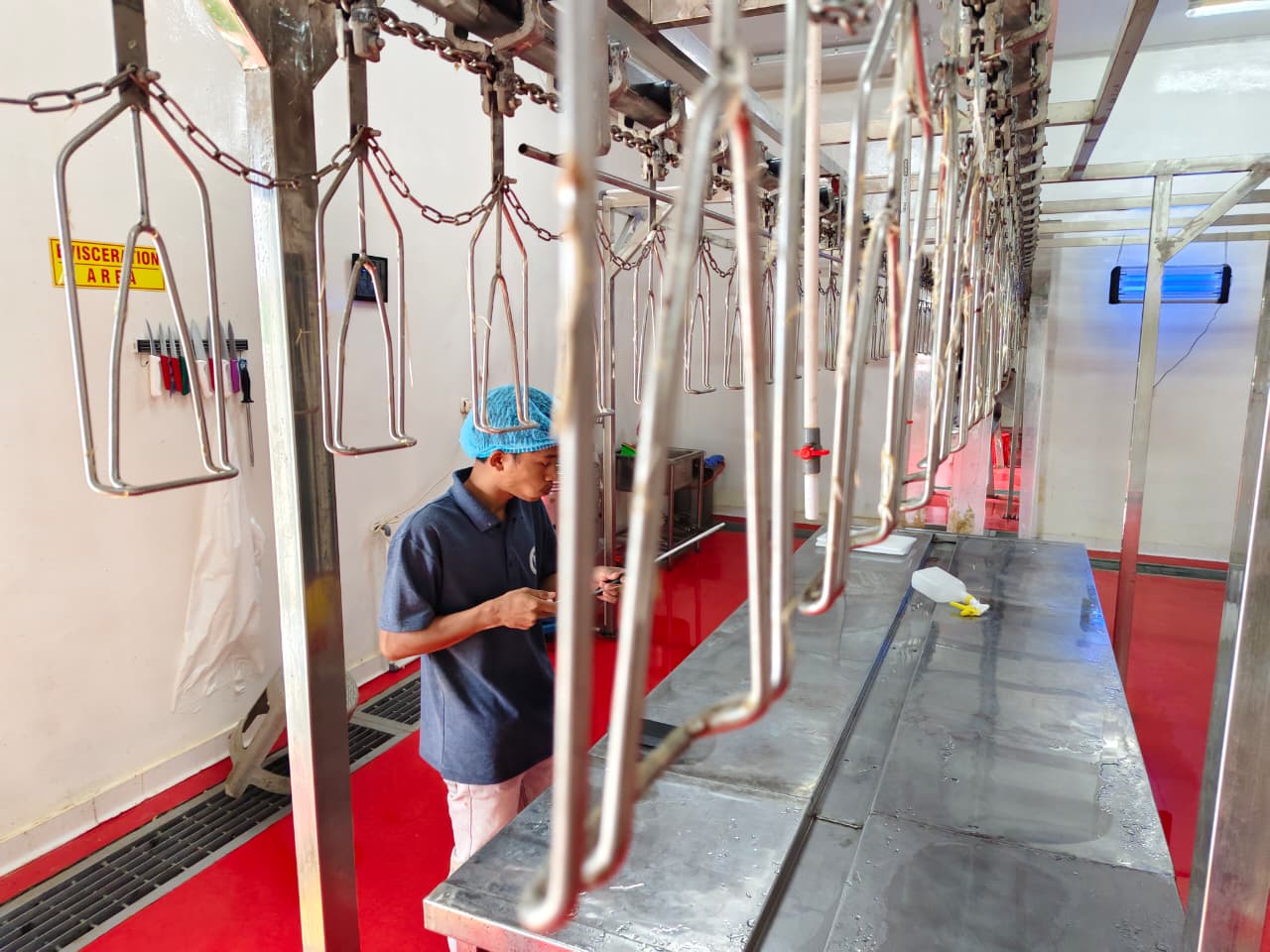 RPU Jeruk Lakarsantri Diklaim Kapasitas 5 Ribu, Realisasi Baru Ratusan Ekor