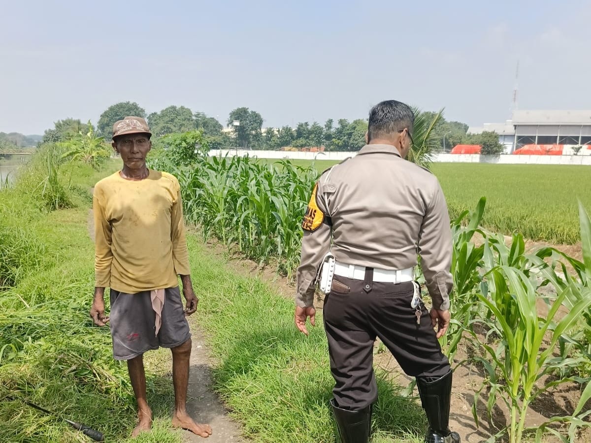 Dukung Ketahanan Pangan, Polsek Tarik Gelar Patroli Sambang Desa Dampingi Petani Jagung
