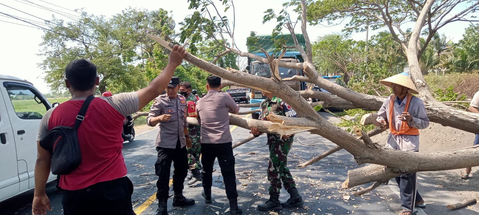Gerak Cepat, Personel Polres Situbondo Evakuasi Pohon Tumbang di Jalan Raya Pantura 