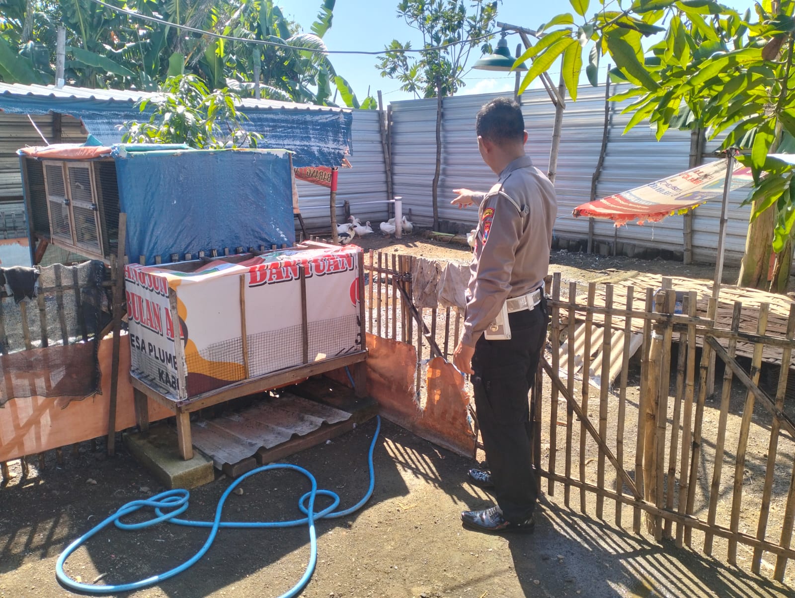 Polsek Porong Cek Pembibitan Entok Jumbo di Desa Plumbon