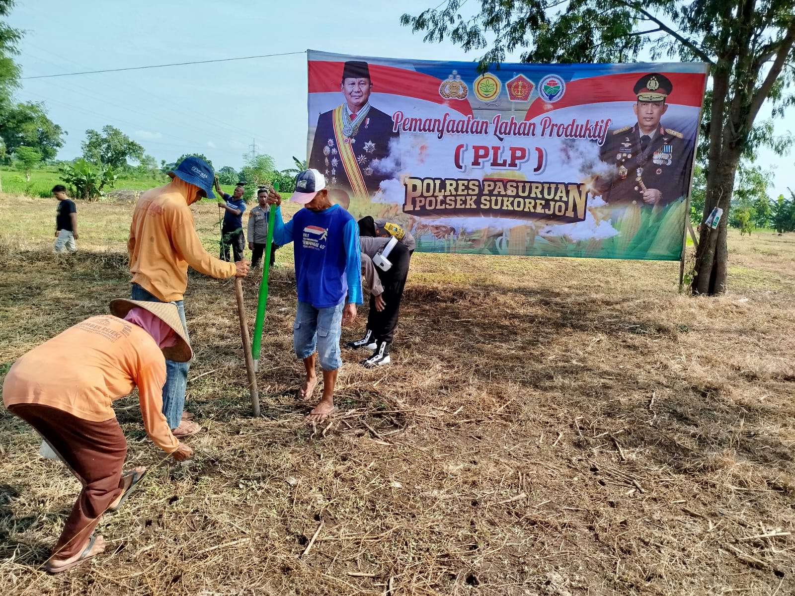 Bersama Gapoktan, Polsek Sukorejo Tanam Jagung untuk Ketahanan Pangan