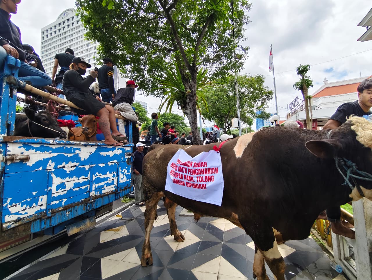 Tolak Relokasi, Ratusan Jagal RPH Pegirian Kepung DPRD Surabaya, Ancam Sembelih Sapi di Depan Gedung