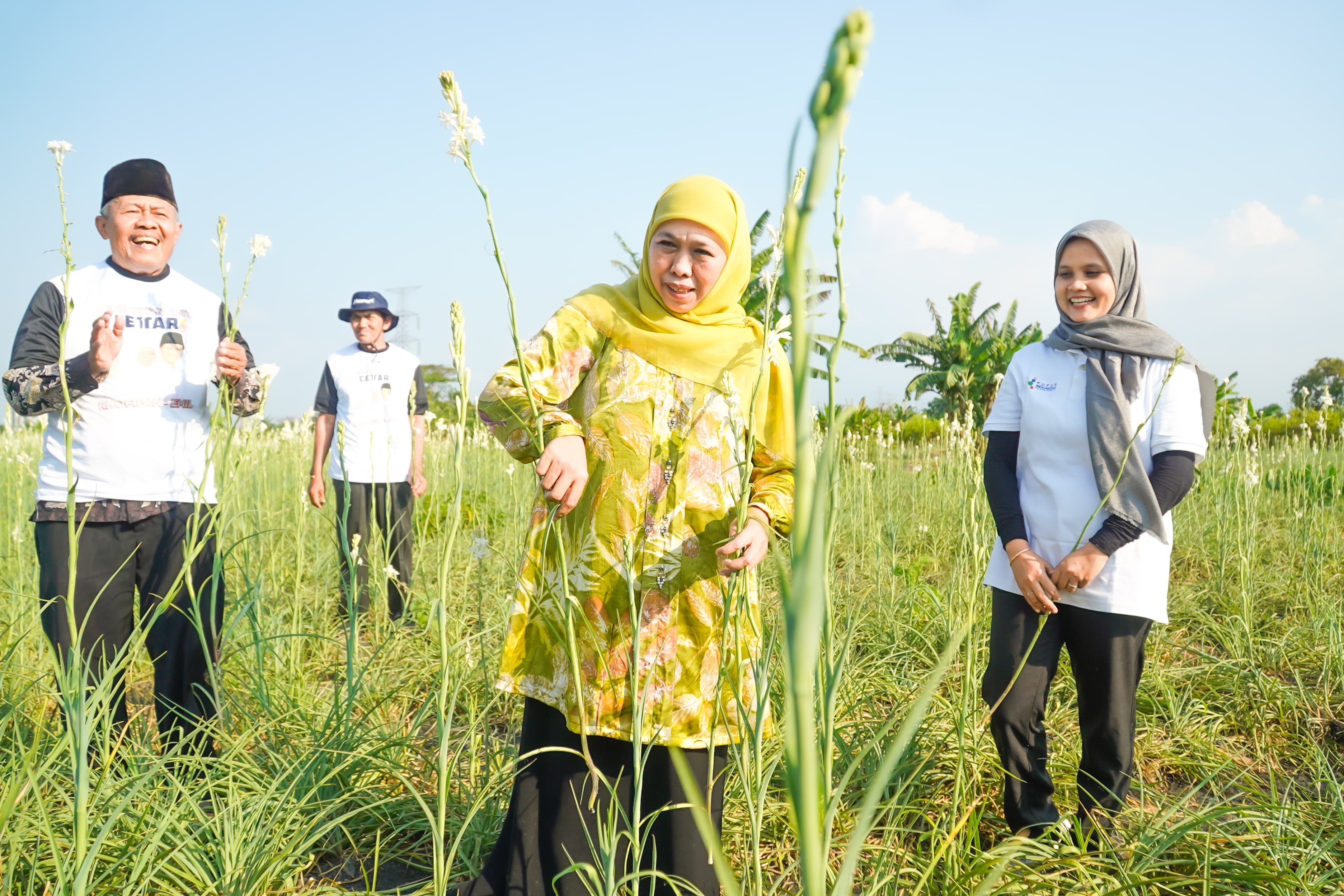 Panen Bunga Sedap Malam, Khofifah: Petani Milenial Jatim Tertinggi di Indonesia