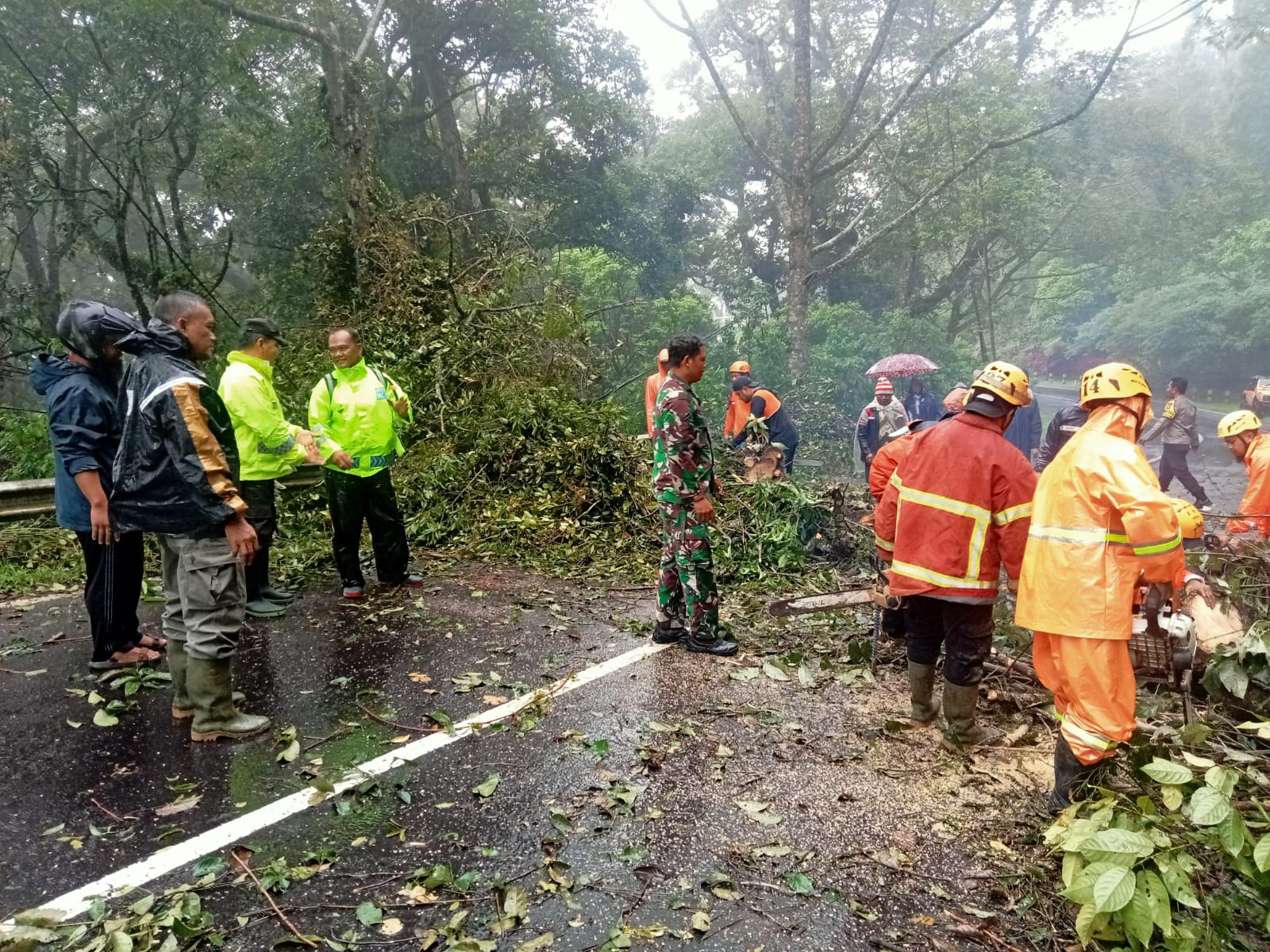 Petugas Gabungan Evakuasi Pohon Tumbang di Jalur Sarangan–Cemoro Sewu Magetan