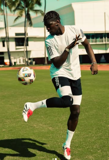 Paul Pogba is Back: Dalam Pembicaraan dengan Tim Ligue 1