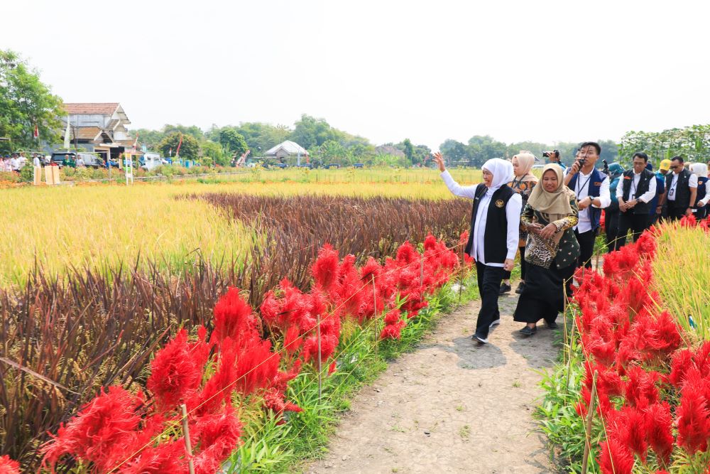 Khofifah Buka Temu Lapang dan Pencanangan Penerapan Manajemen Tanaman Sehat