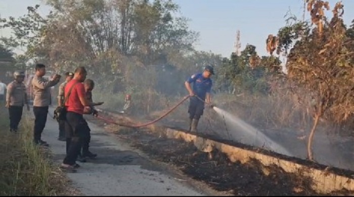 Lahan 2.000 M² di Tanjung Lamongan Terbakar, Polisi dan Damkar Gercep Padamkan Api